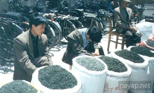 下関の路上の茶葉売り