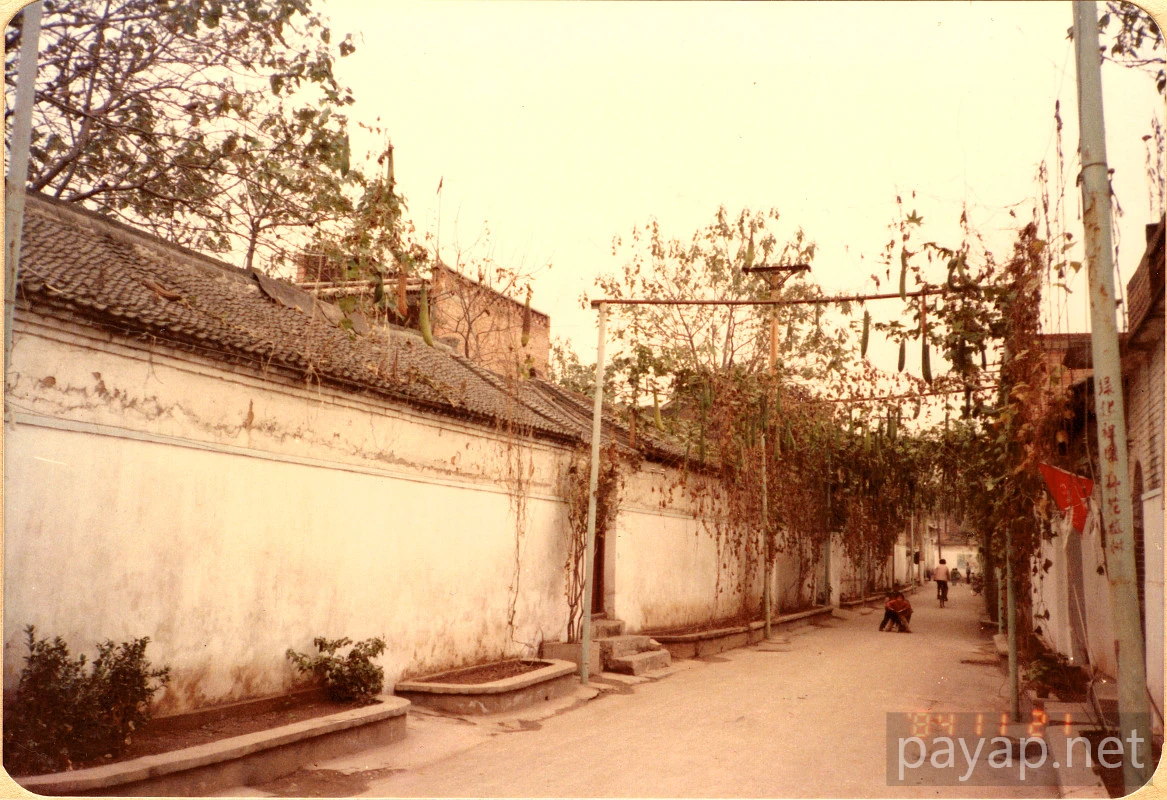 中国、洛陽市 中国、洛陽市