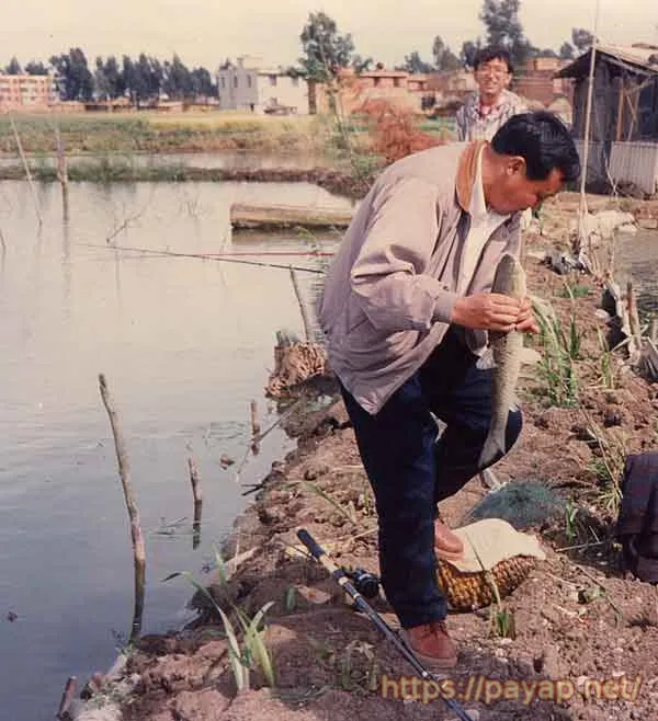 昆明の釣り堀 昆明の釣り堀