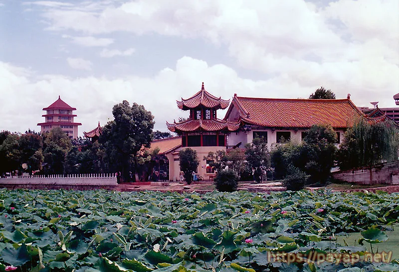 翠湖公園 翠湖公園