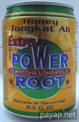 2006年2月マレーシア・