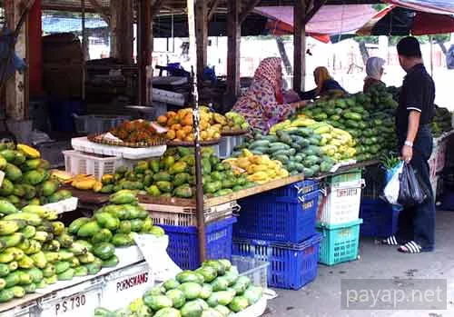 果物売り 果物売り