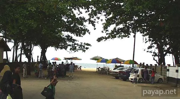 P.C.B海岸バス停より、海岸を望む