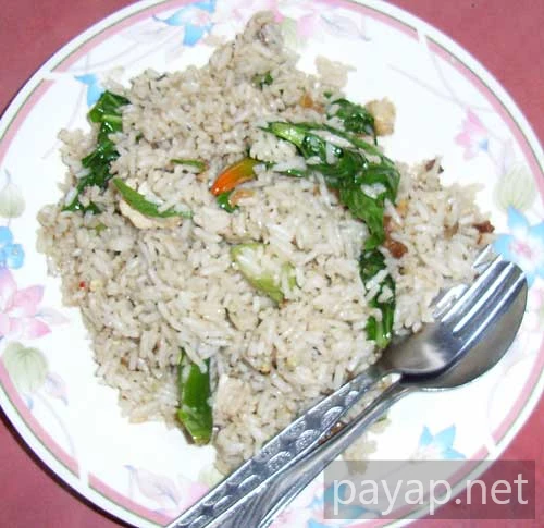 2006年2月マレーシア・