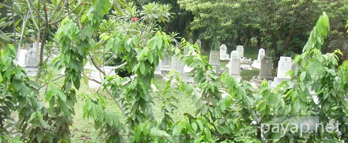 2006年2月マレーシア・墓地