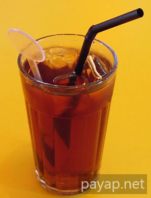 2006年2月マレーシア・