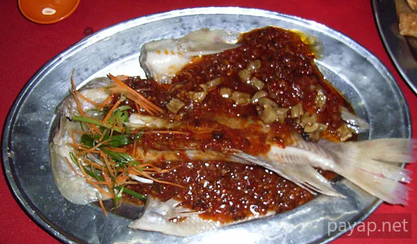 2006年2月マレーシア・中華料理,酔猫 2006年2月マレーシア・中華料理,酔猫