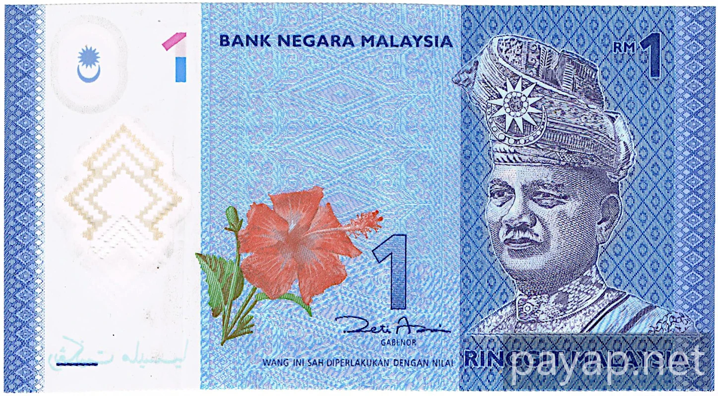 マレーシア リンギット 1$