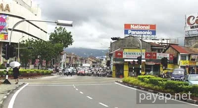 左手がガマデパート