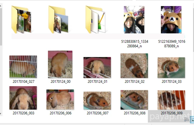 サムネイル表示画面