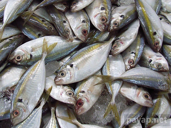 2007年9月 シラチャーの市場