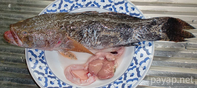 マーブルゴビー