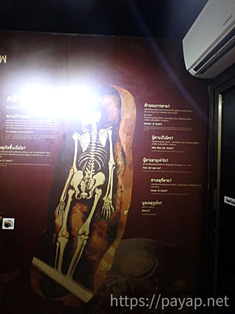 アートミュージアム