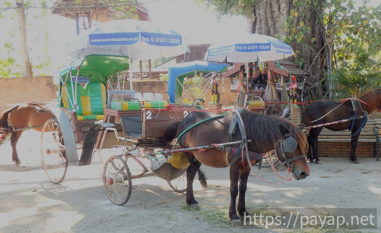 ウィアンクムカム遺跡(เวียงกุมกาม)
