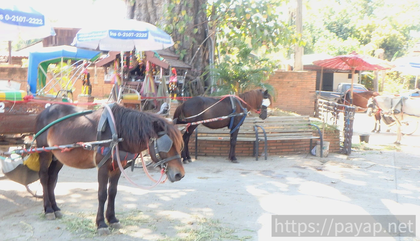 ウィアンクムカム遺跡(เวียงกุมกาม)