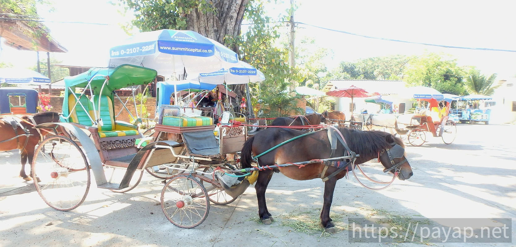 ウィアンクムカム遺跡(เวียงกุมกาม)