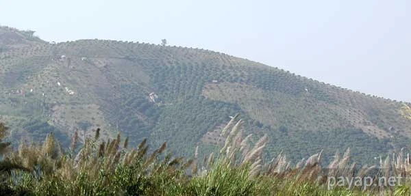 チエンライの写真 2002年