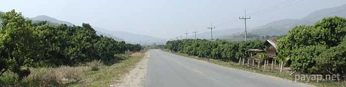 チエンライの写真 2002年