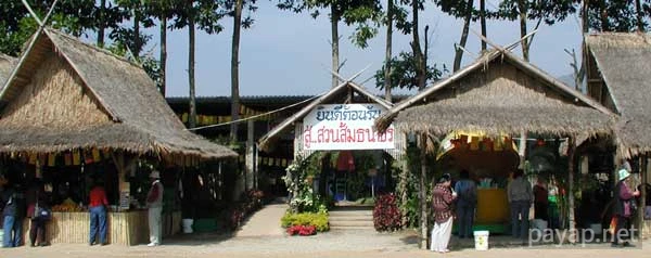 チエンライの写真 2002年