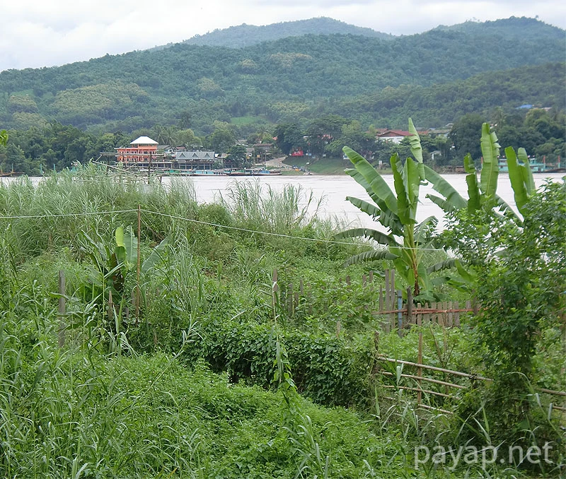 チエンコン－フェサイ