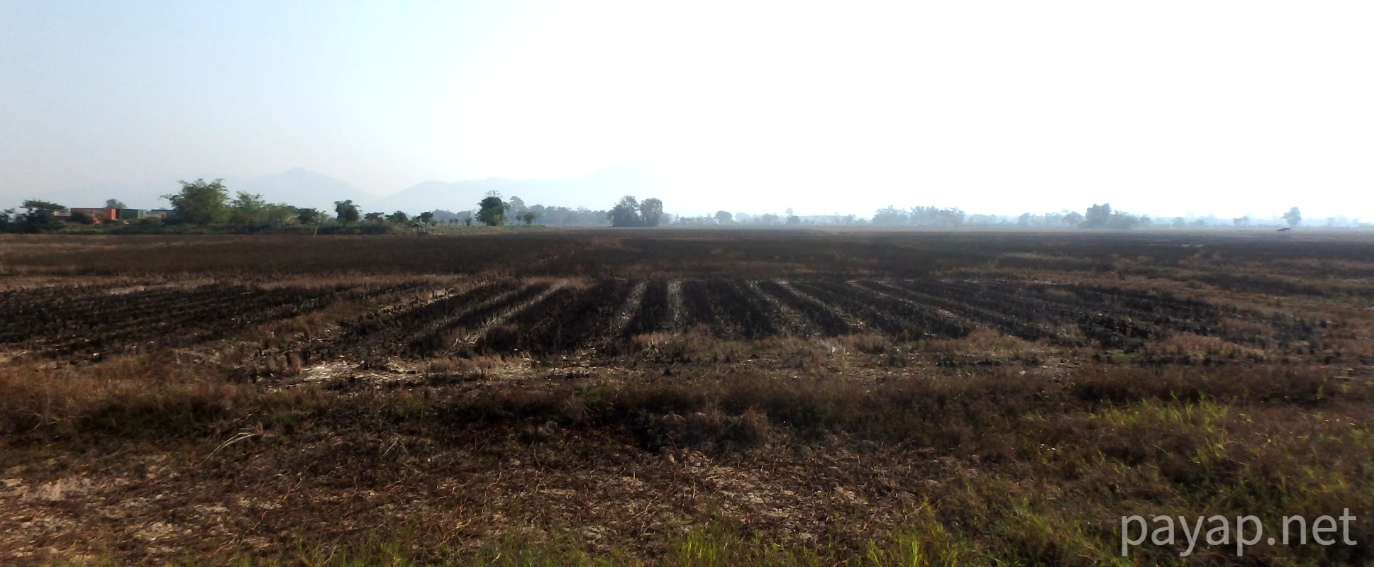 chiangkonからthoengへ