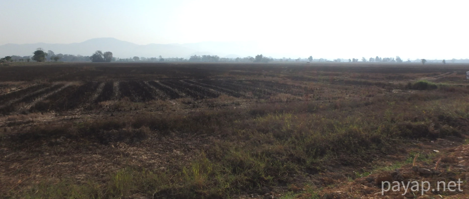 chiangkonからthoengへ