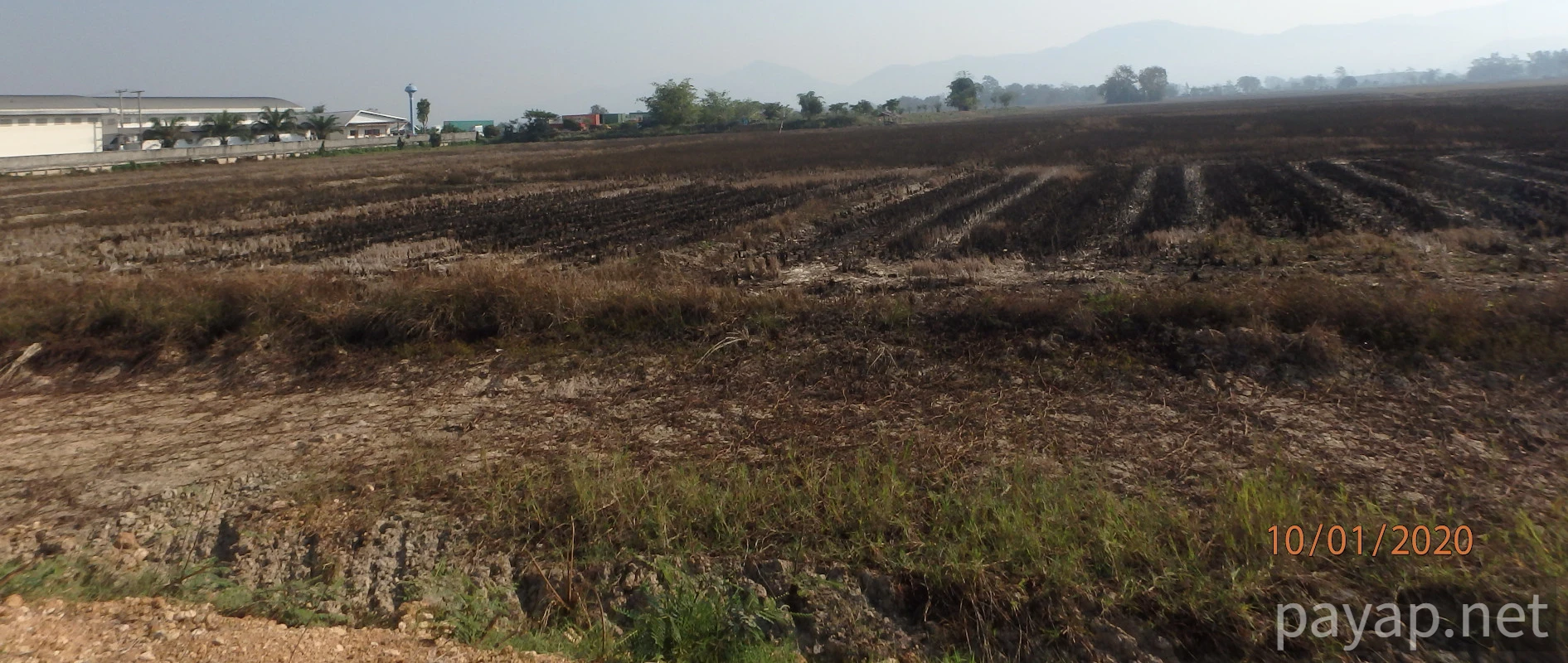 chiangkonからthoengへ