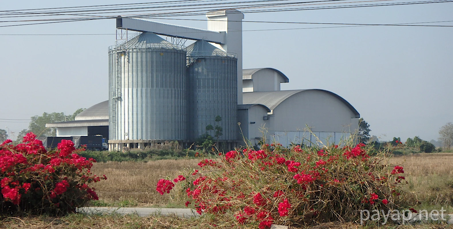 chiangkonからthoengへ