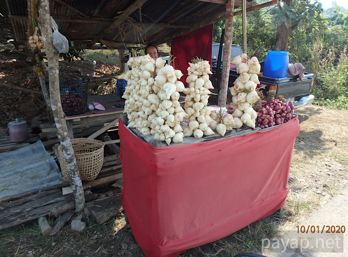 chiangkonからthoengへ