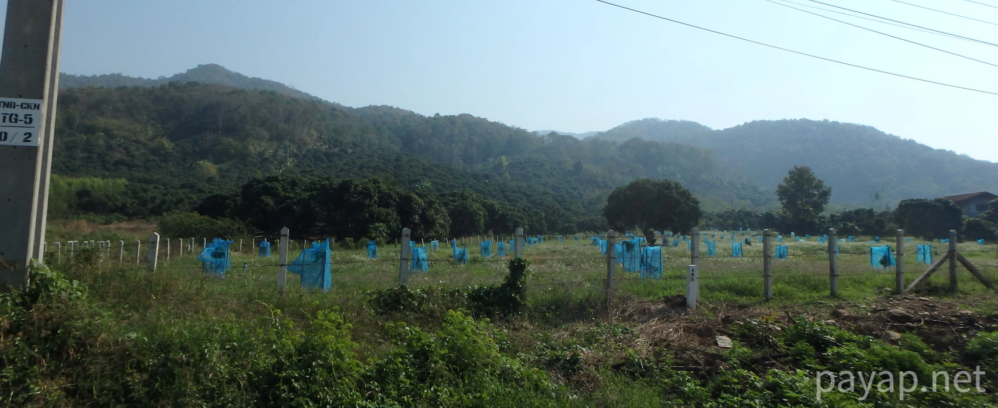 chiangkonからthoengへ