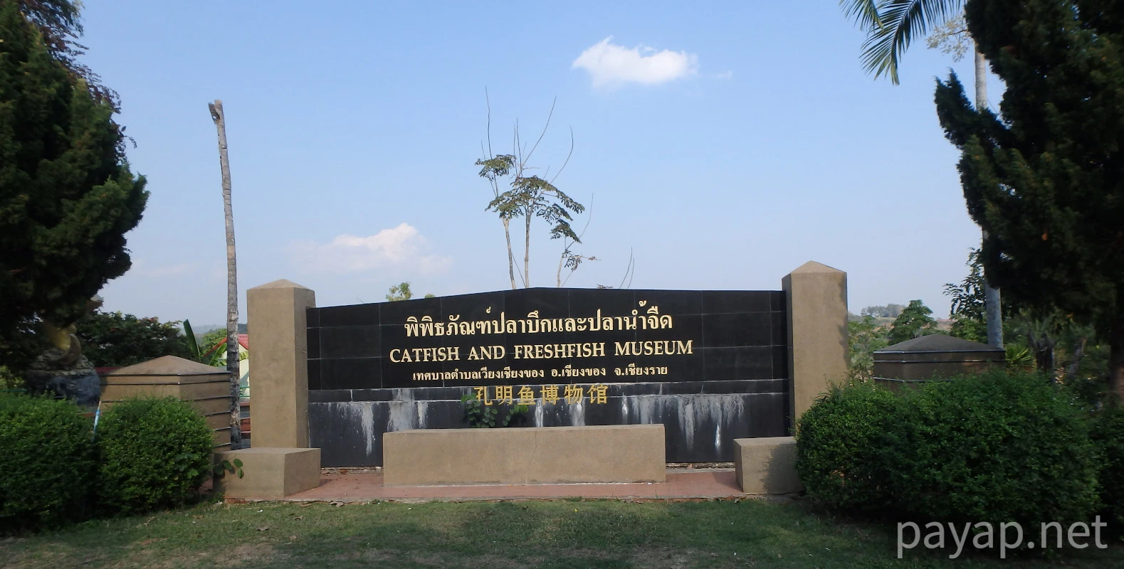 CATFISH AND FRESHFISH MUSEUM,พิพิธภัณฑ์ปลาบึกและปลาน้ำจืด