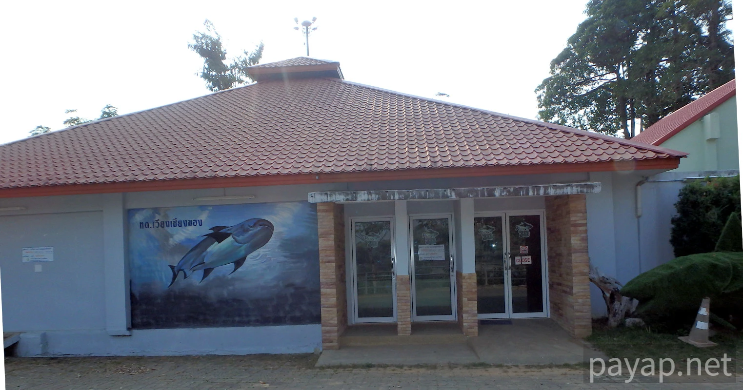CATFISH AND FRESHFISH MUSEUM,พิพิธภัณฑ์ปลาบึกและปลาน้ำจืด