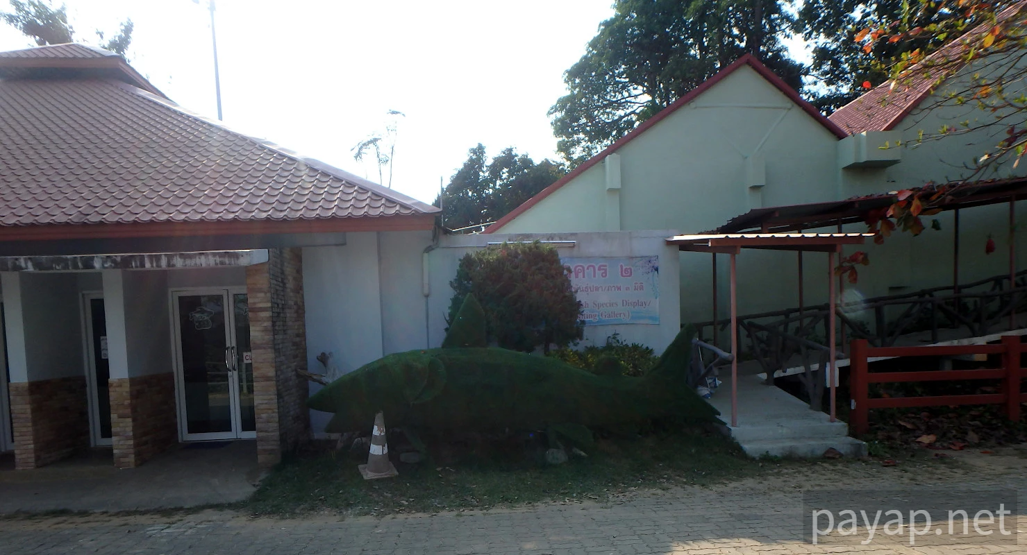 CATFISH AND FRESHFISH MUSEUM,พิพิธภัณฑ์ปลาบึกและปลาน้ำจืด