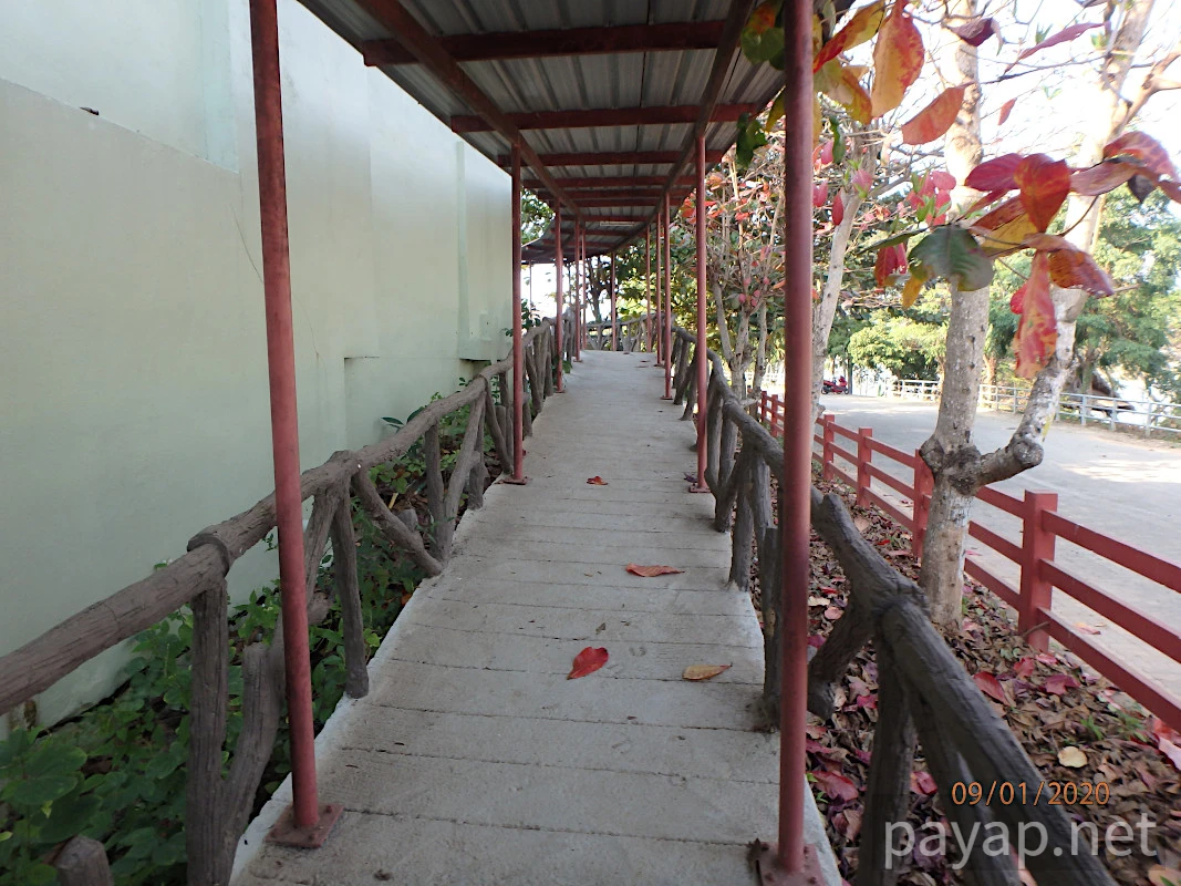 CATFISH AND FRESHFISH MUSEUM,พิพิธภัณฑ์ปลาบึกและปลาน้ำจืด