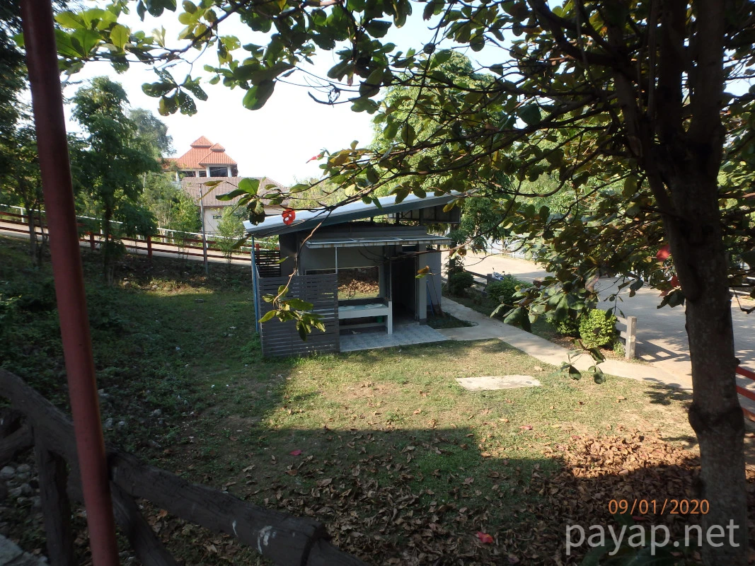 CATFISH AND FRESHFISH MUSEUM,พิพิธภัณฑ์ปลาบึกและปลาน้ำจืด