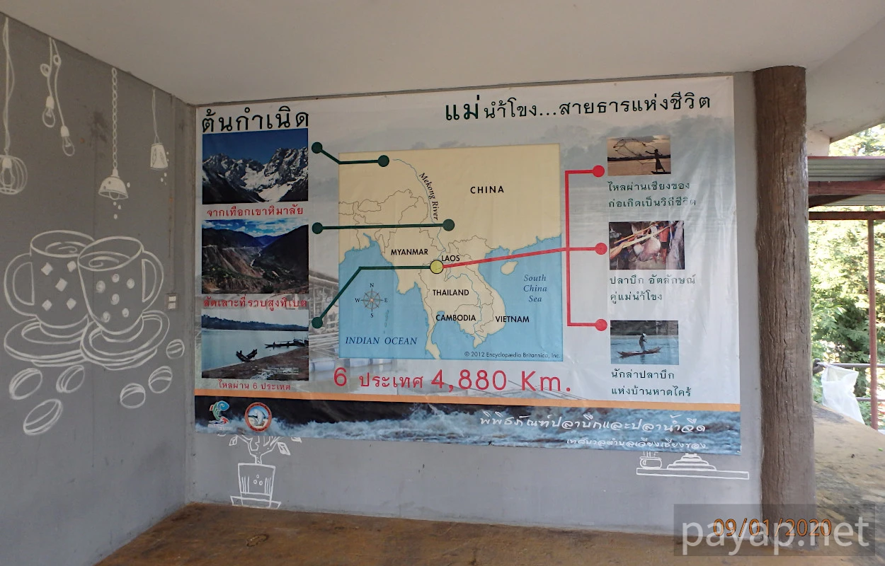 CATFISH AND FRESHFISH MUSEUM,พิพิธภัณฑ์ปลาบึกและปลาน้ำจืด