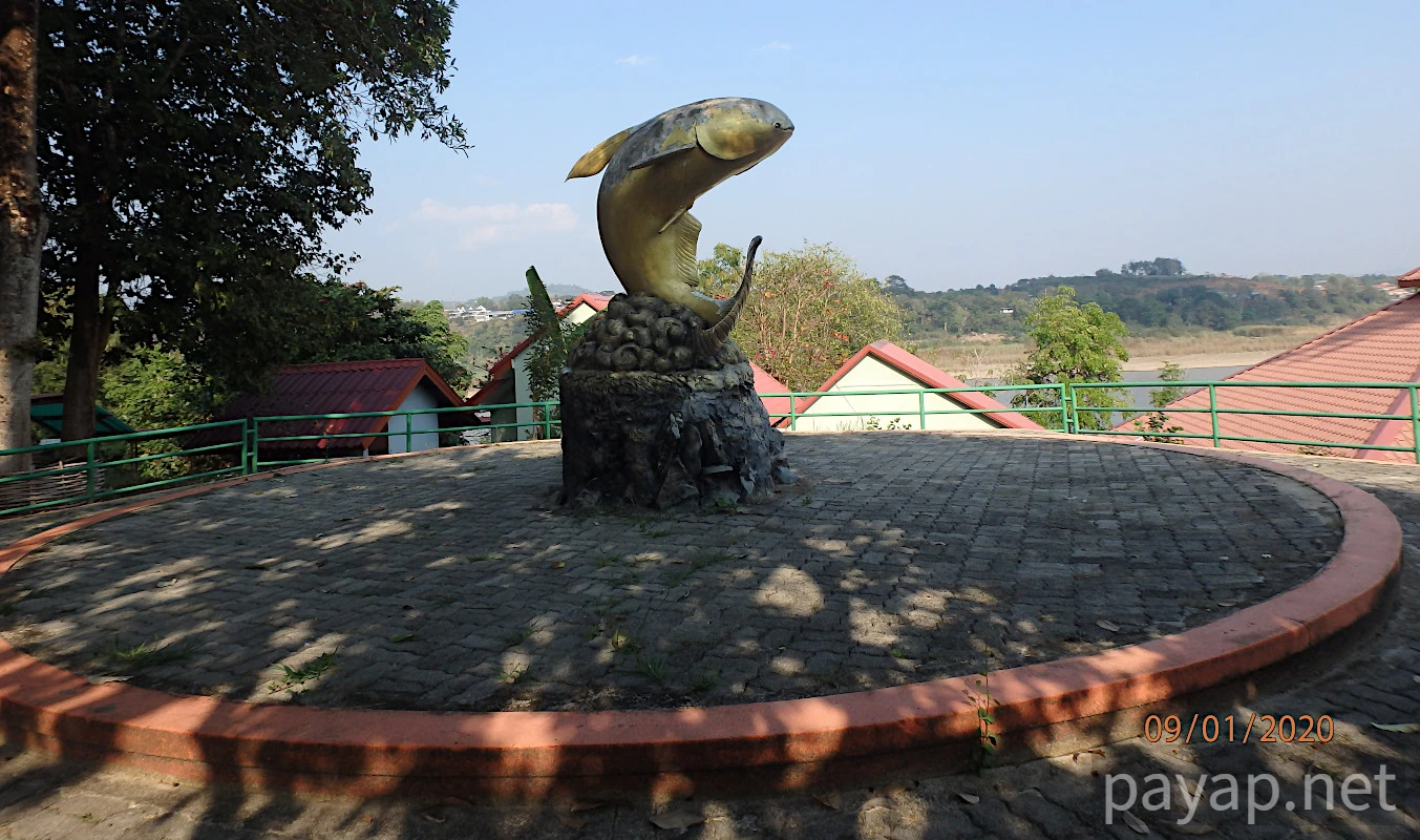 CATFISH AND FRESHFISH MUSEUM,พิพิธภัณฑ์ปลาบึกและปลาน้ำจืด