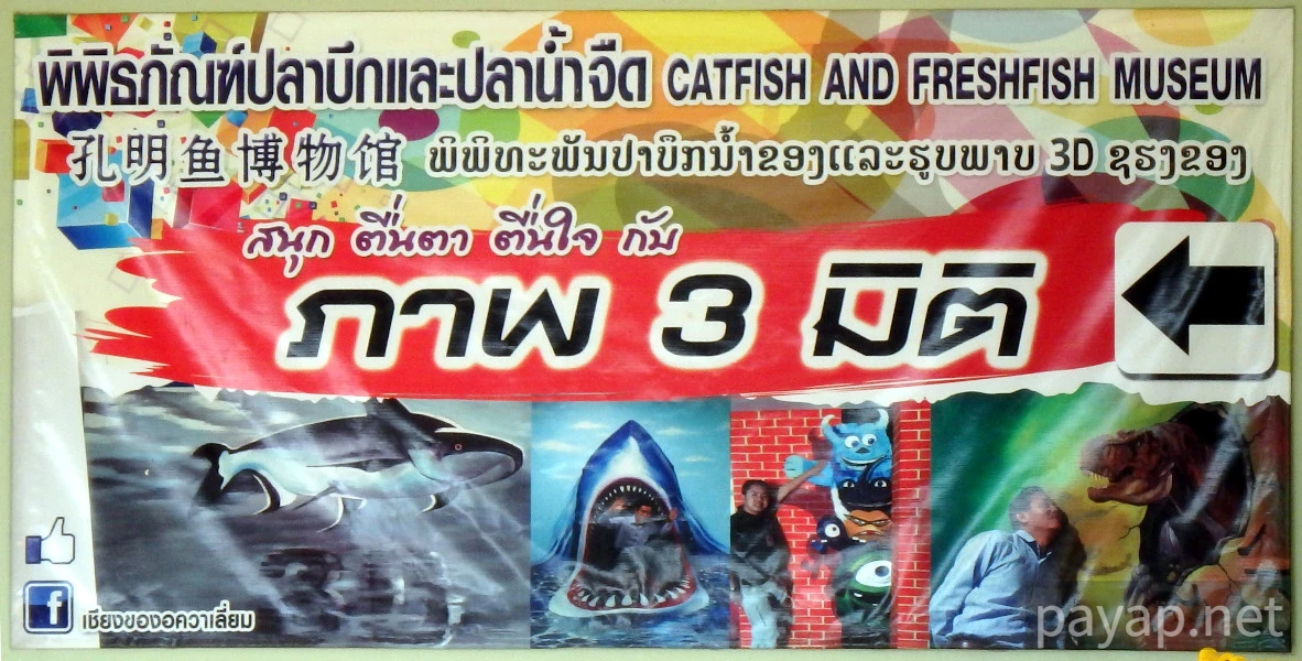 CATFISH AND FRESHFISH MUSEUM,พิพิธภัณฑ์ปลาบึกและปลาน้ำจืด