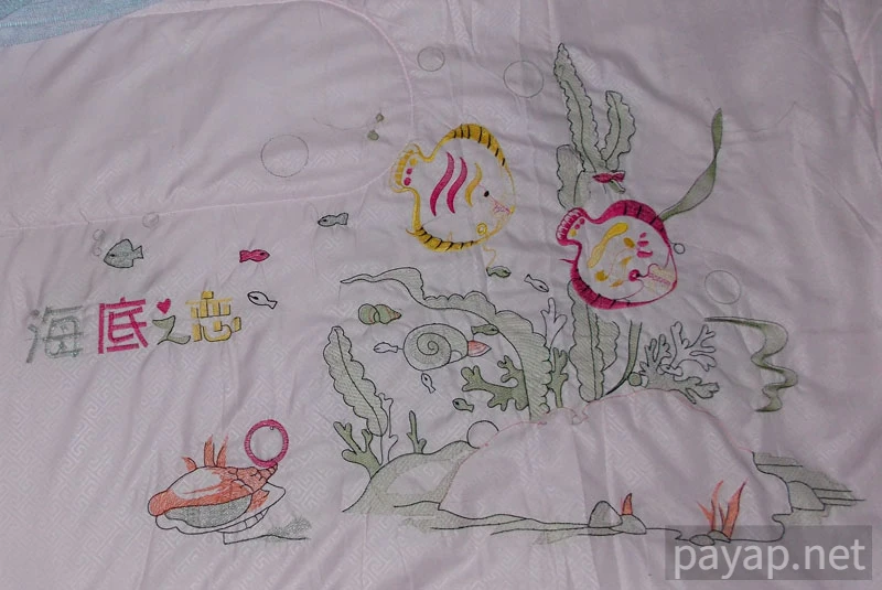 ゲストハウス,チエンコーン