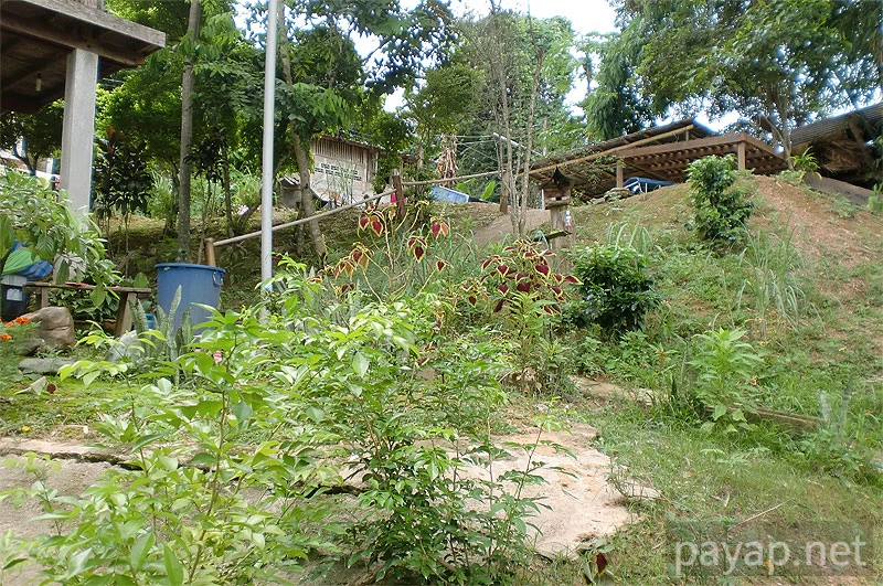 Papaya Village(パパイヤ・ヴィレッジ),チエンコーン