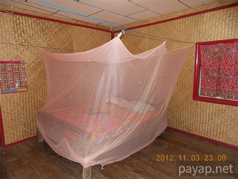 Papaya Village(パパイヤ・ヴィレッジ),チエンコーン