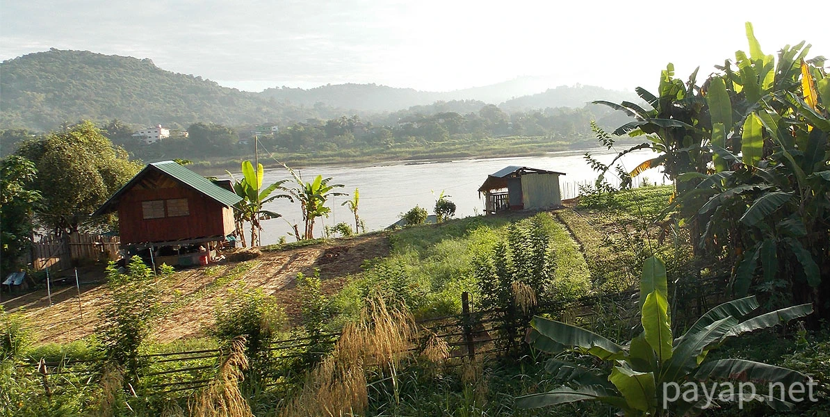 Papaya Village(パパイヤ・ヴィレッジ),チエンコーン