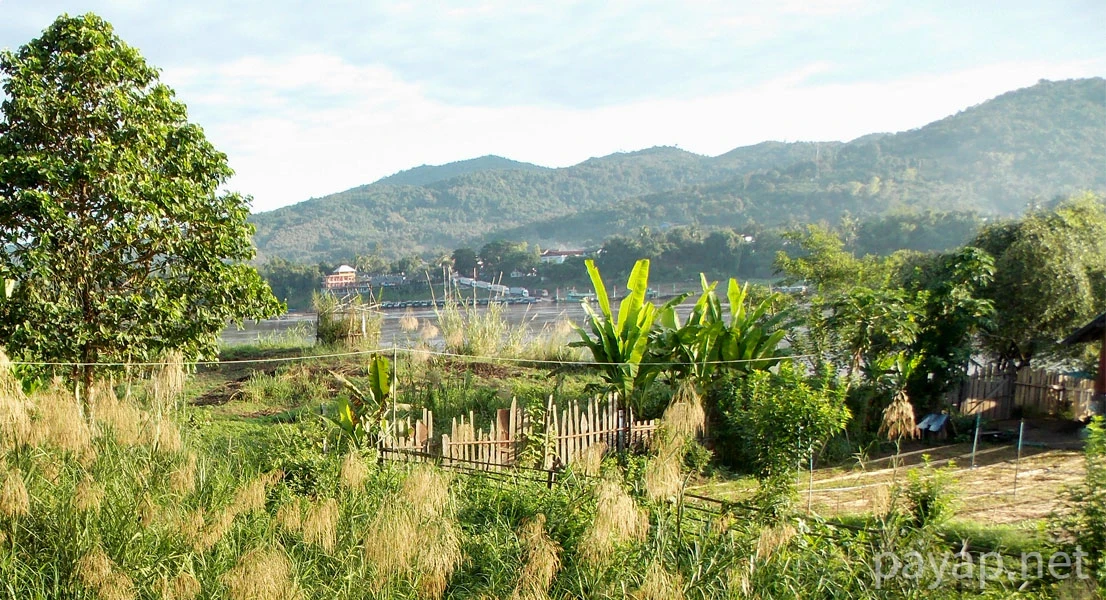 Papaya Village(パパイヤ・ヴィレッジ),チエンコーン