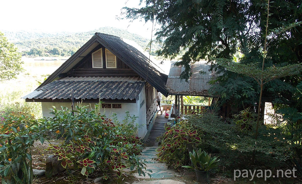 Papaya Village(パパイヤ・ヴィレッジ),チエンコーン