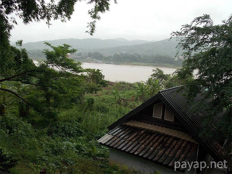 Papaya Village(パパイヤ・ヴィレッジ),チエンコーン