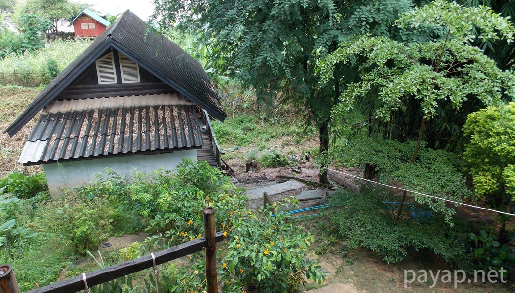 Papaya Village(パパイヤ・ヴィレッジ),チエンコーン