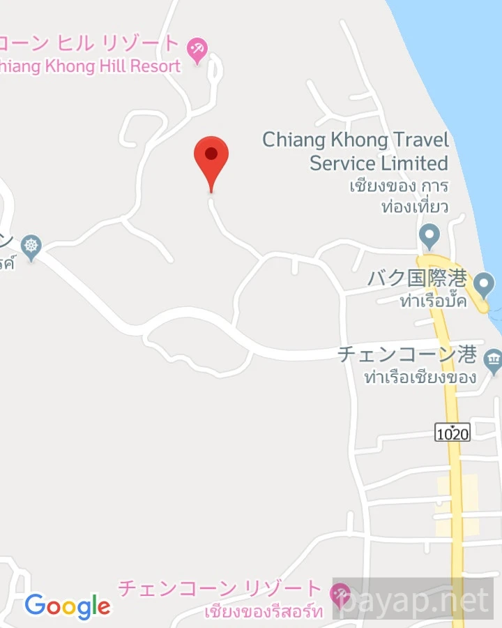 Papaya Village(パパイヤ・ヴィレッジ),チエンコーン