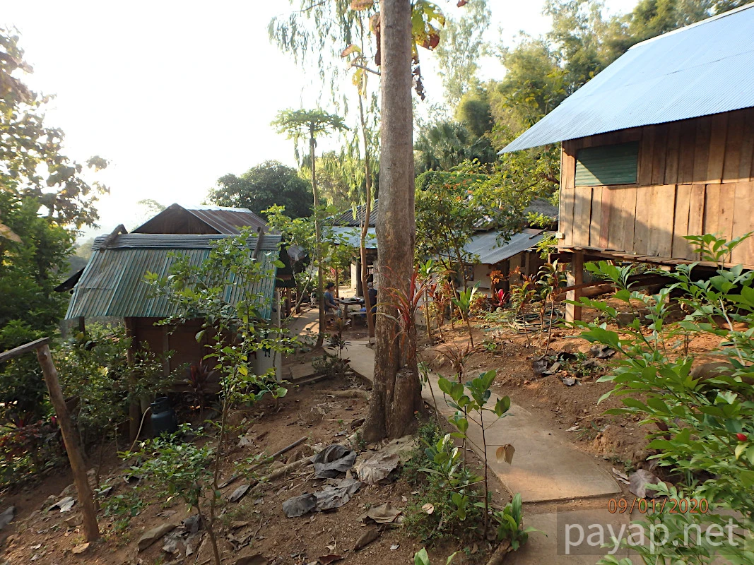 Papaya Village(パパイヤ・ヴィレッジ),チエンコーン