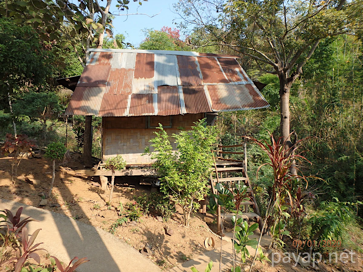 Papaya Village(パパイヤ・ヴィレッジ),チエンコーン