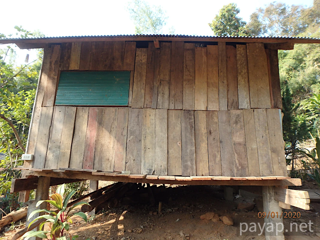 Papaya Village(パパイヤ・ヴィレッジ),チエンコーン